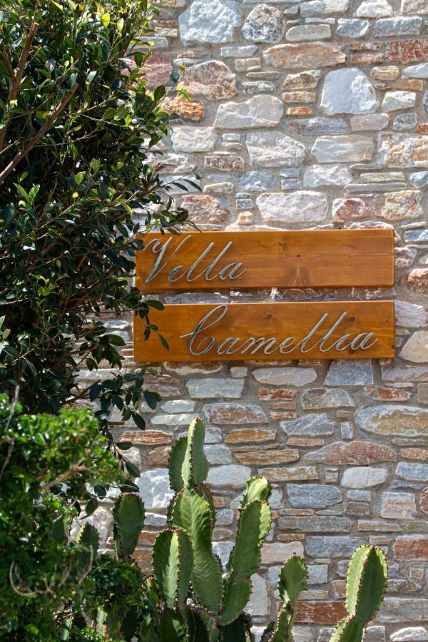 Villa Camellia Liaropá Exteriör bild